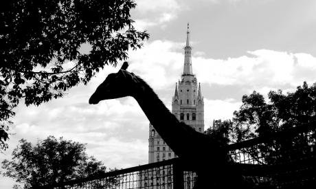 -Москва_0.jpg