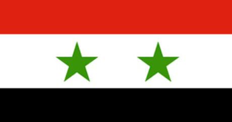Education and flags: seminal for winning the hearts and minds of Syria's  new generation?