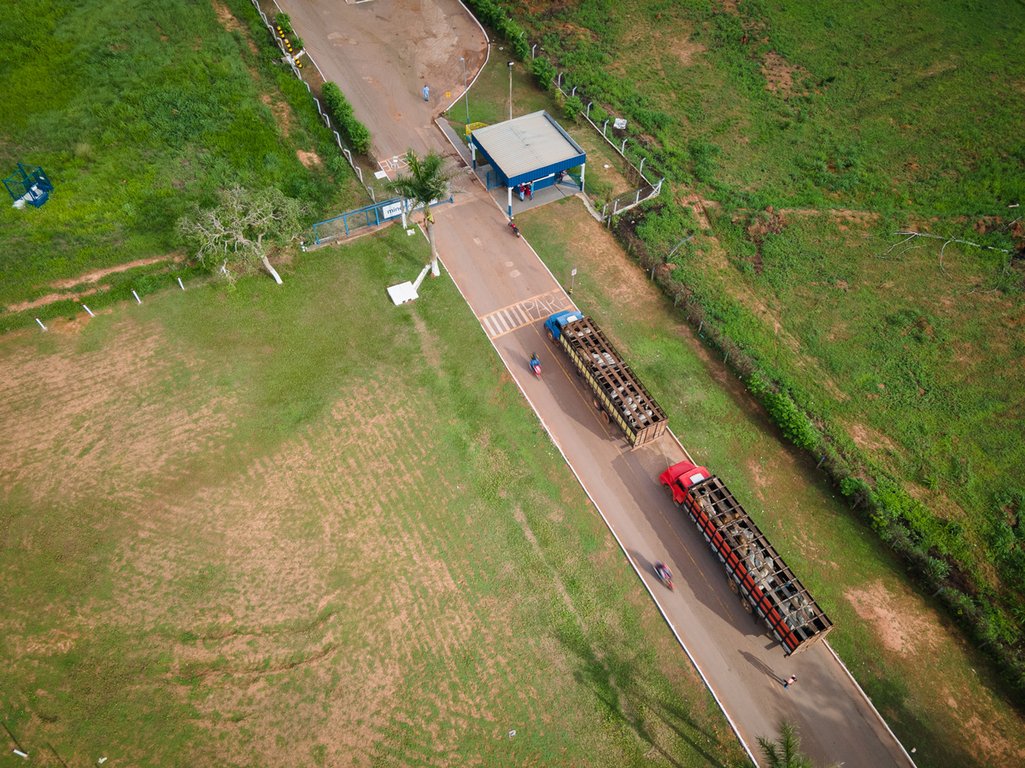 Vista área das instalações da Minerva em Araguaína (TO), chegada de bois para abate
