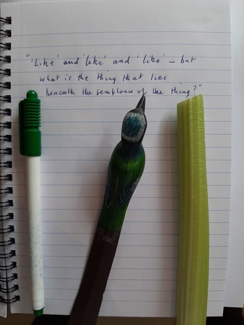 Pen celery 4