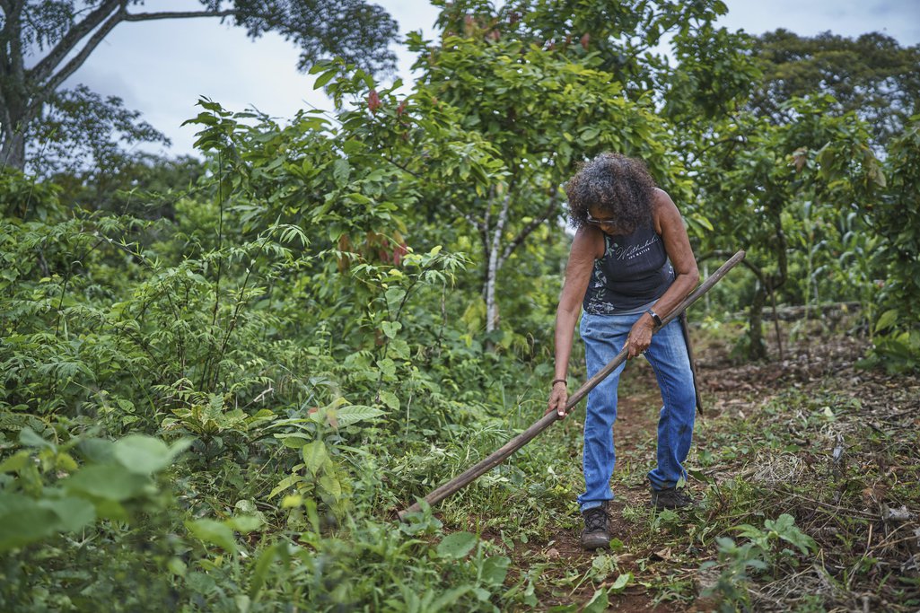 Raimunda Gomes limpa a terra recuperada onde agora vive e cultiva centenas de cacaueiros