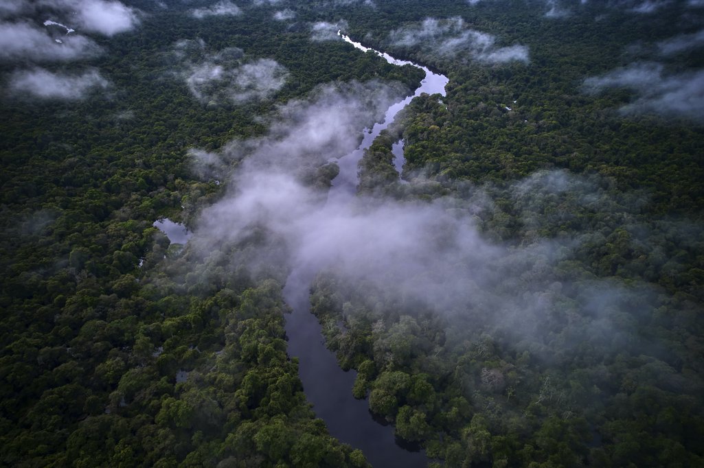 Vista aérea da Reserva Extrativista Riozinho do Anfrísio, terra das comunidades ribeirinhas da Terra do meio, Altamira, Pará.