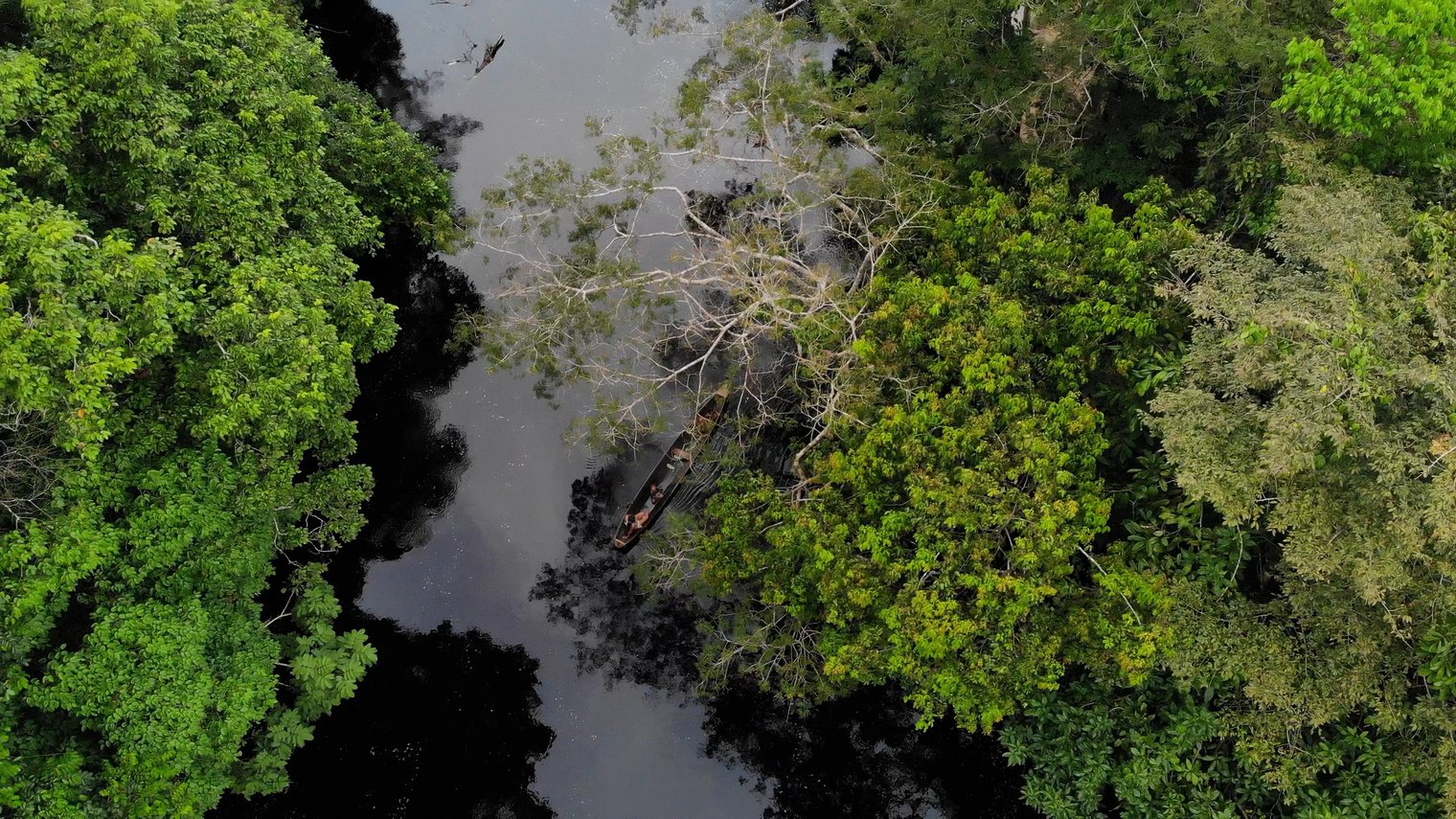 Defenders of the Colombian Amazon sacred hills: disrespected rights ...