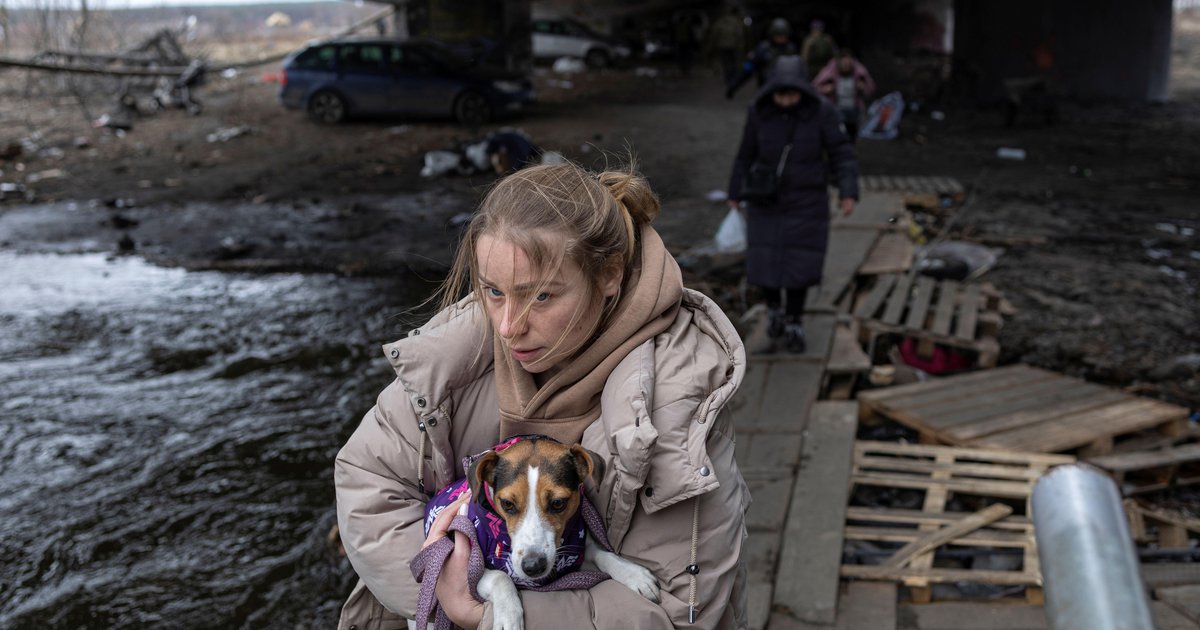 Ukraine war: How animals were evacuated from Irpin | openDemocracy