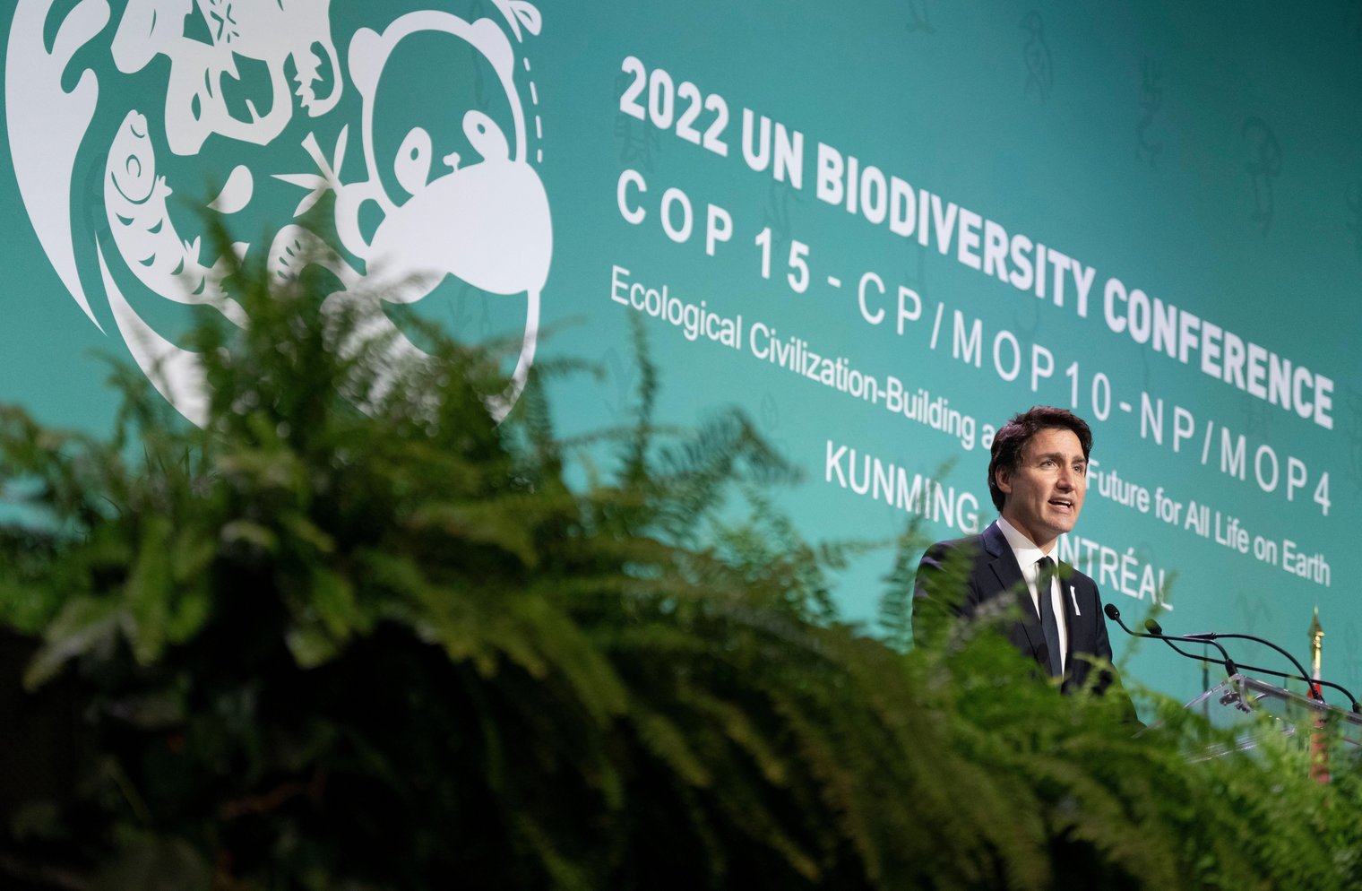 COP15 Biodiversity Summit And The Wider Climate Emergency | OpenDemocracy