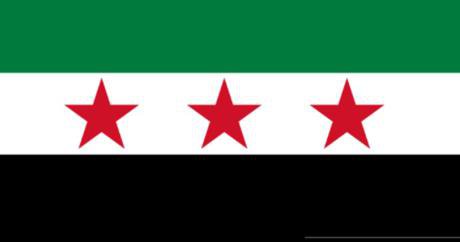 Syrian rev flag