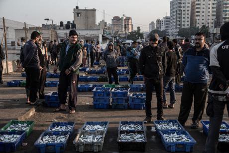 Fish market in Gaza Strip - struggle to survive.