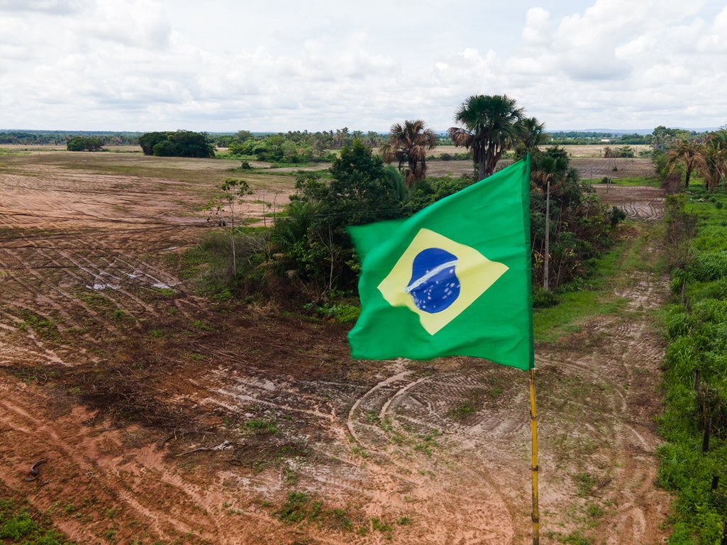 Bandeira do Brasil em pasto ao redor da Transamazônica, no sudeste paraense