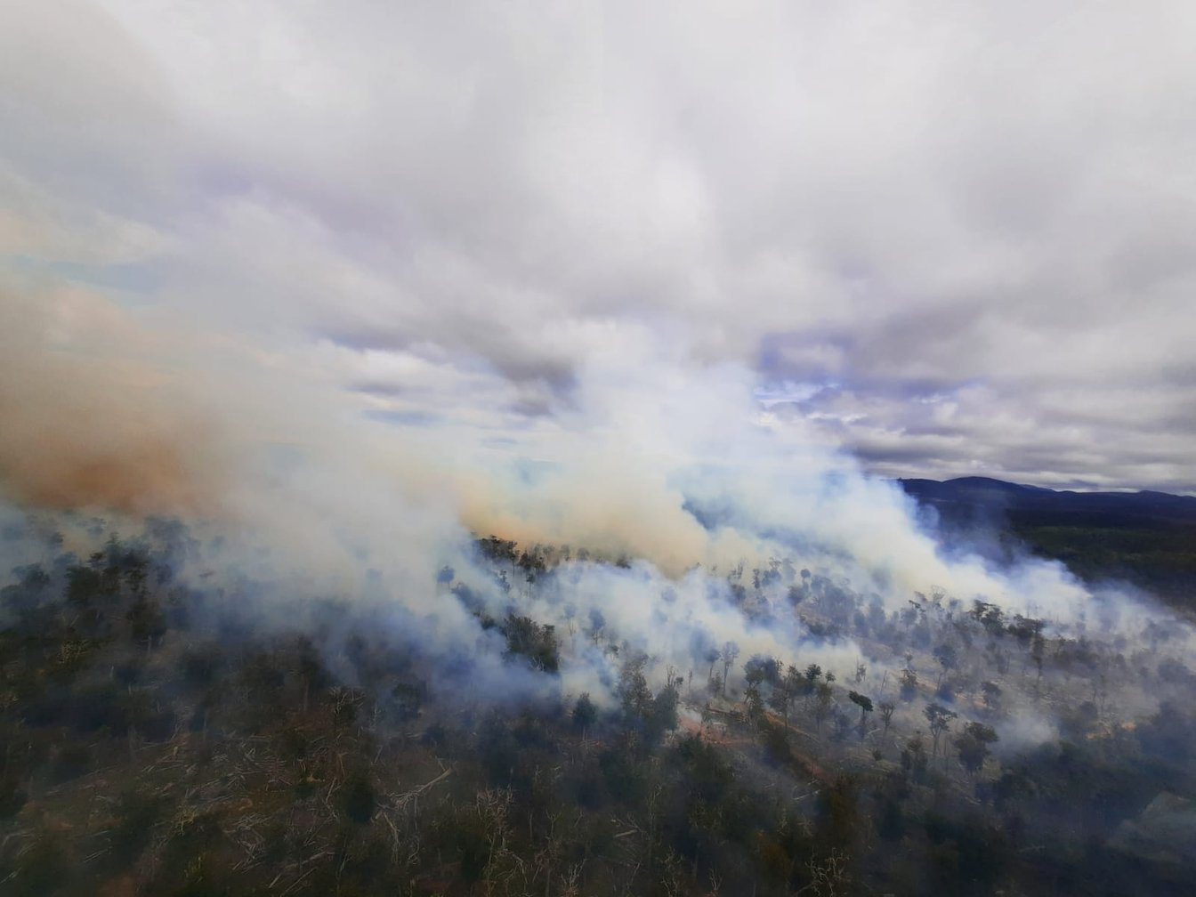 Fighting the wildfires that threaten Chile’s peatlands is vital for us