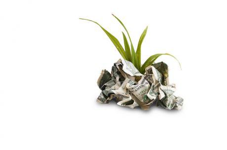 Growing money.