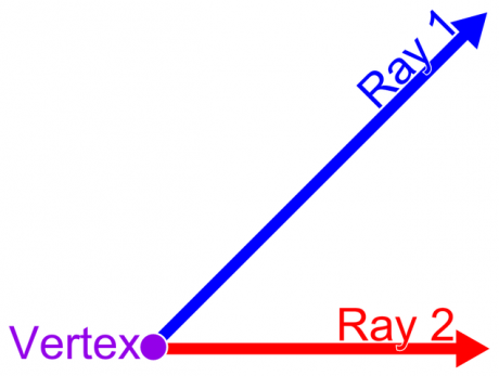 Two rays and one vertex.