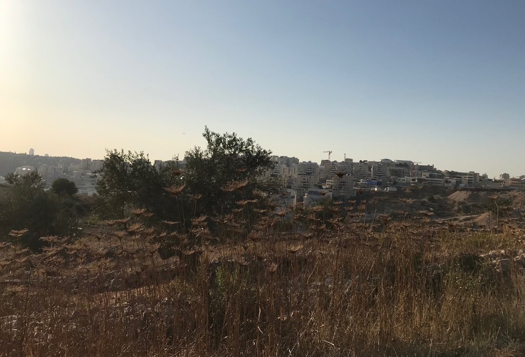 6_Om Sleiman settlements with cranes in distance_IMG_8632_2.jpg