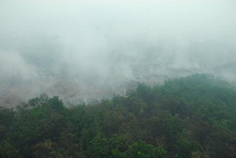 Forest fires in Pontianak, West Kalimantan, September, 2015.