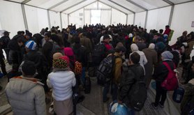 5,000 refugees waiting at the border in Idomeni, Greece, November 2015.
