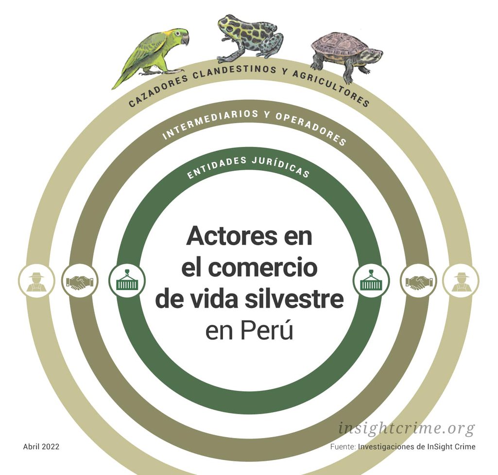 Amazonas-Actores-en-el-comercio-de-vida-silvestre-en-Perú-InSight-Crime-Apr-2022.jpeg