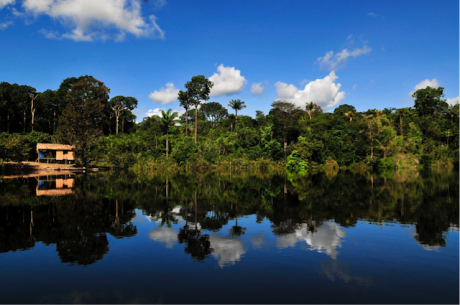 Amazonia.png