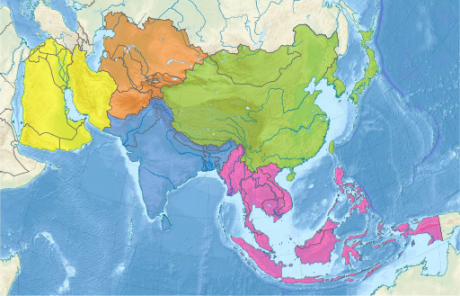 Asia.