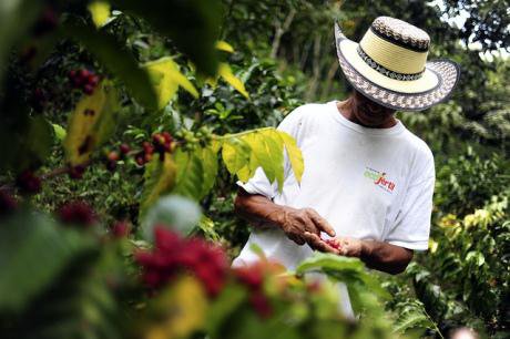 Colombian coffee farmer. CIAT/Flickr. Some rights reserved.