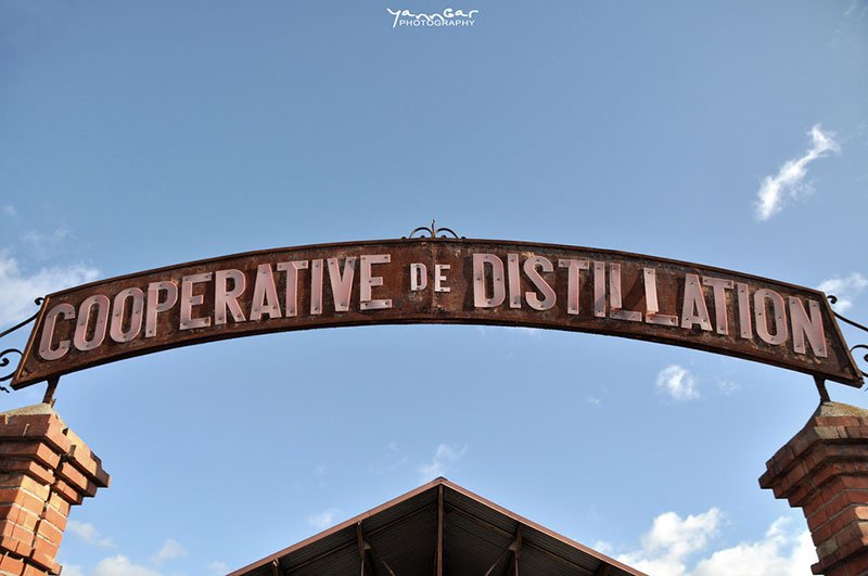lead Cooperative de Distillation by Yann Gar