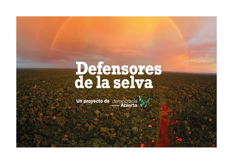 DEFENSORES DE LA SELVA PORTADA WEB.jpg
