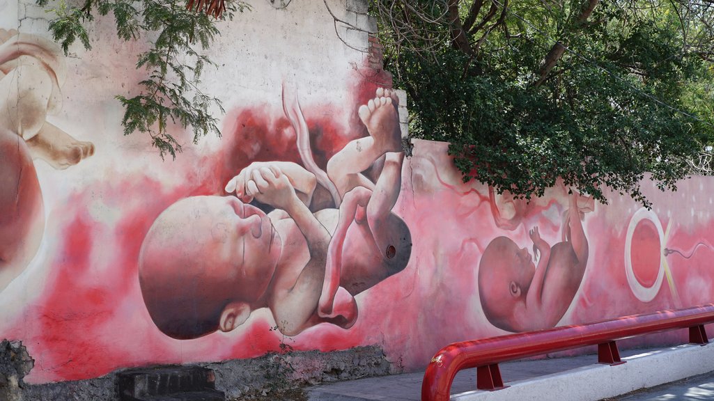 40 Days for Life anti-abortion group street mural Monterrey México
