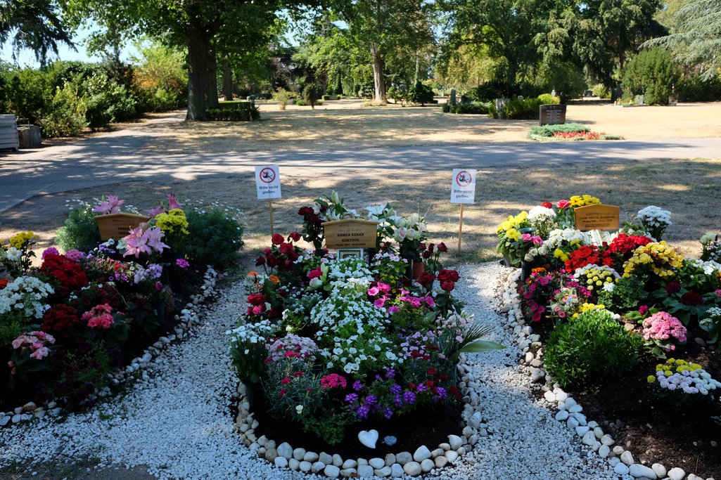 Victims’ graves at the central cemetery in Hanau