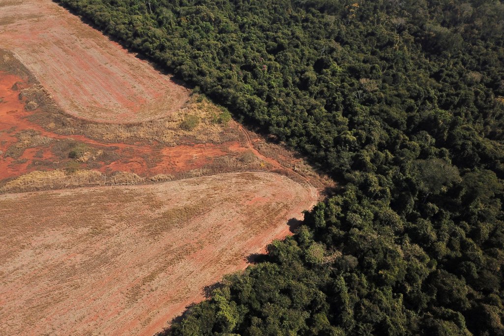2022 was probably the worst year for deforestation of the Amazon