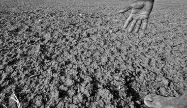 Drought_affected_area_in_Karnataka,_India,_2012.jpg