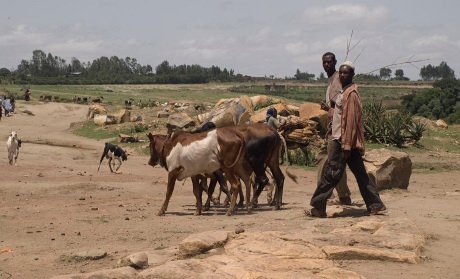 Addis Ababa and the World Food Programme in rural Ethiopia