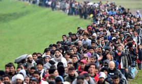 European-migrants image- wailoil.co_.nz__0.jpg
