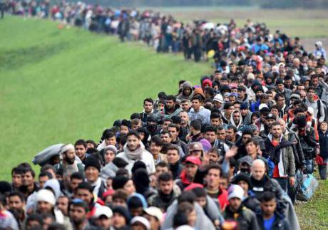 European-migrants image- wailoil.co_.nz_.jpg