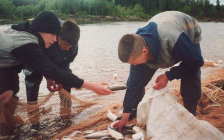 Khanty men fishing in a river with nets.