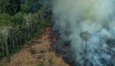 Deforestación por incendios en Candeiras do Jamari, Amazonas.