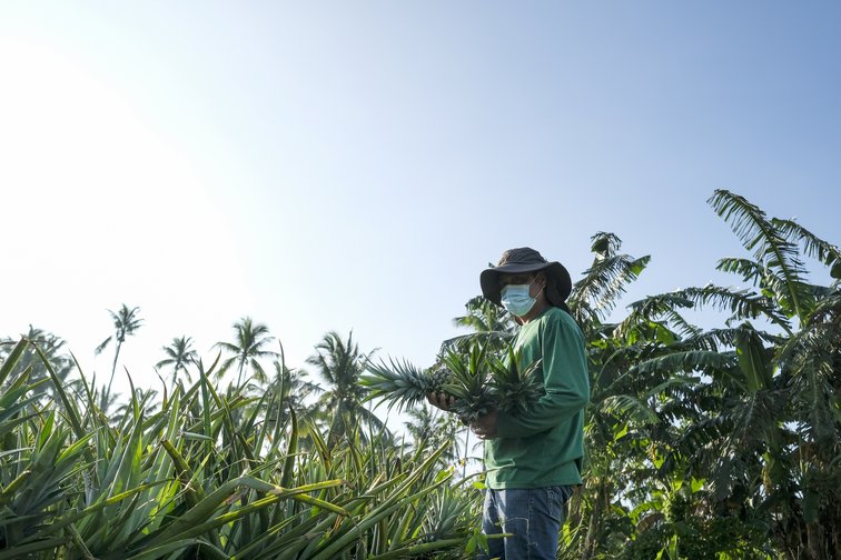 Small-Scale Food Producers 