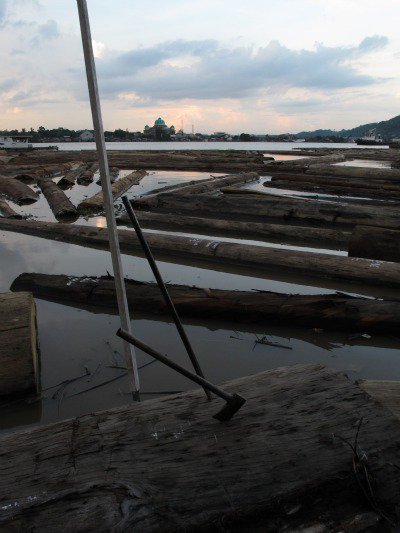 Logs destined for plywood production line the banks of the Mahakam river in Samarinda, provincial capital of East Kalimantan. Nearly 50% of the UK’s tropical plywood is imported from Indonesian rainforests.