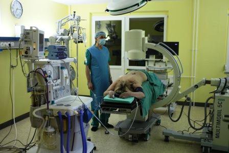 Operation theatre in dr Kurilets&#39;s hospital