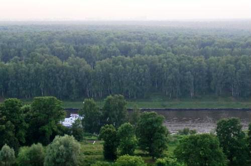 Khimki Forest