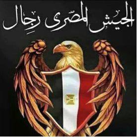 Hawk insignia