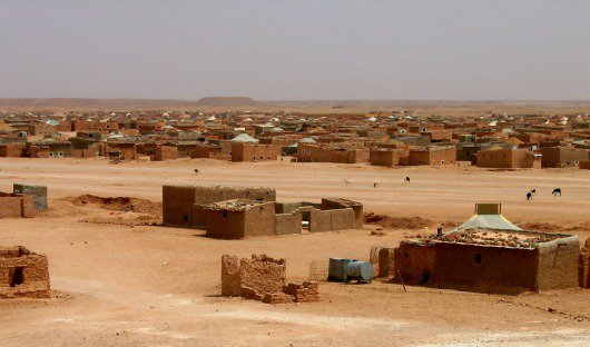 Laayoune_Brahim_Youth%20M034_1.jpg