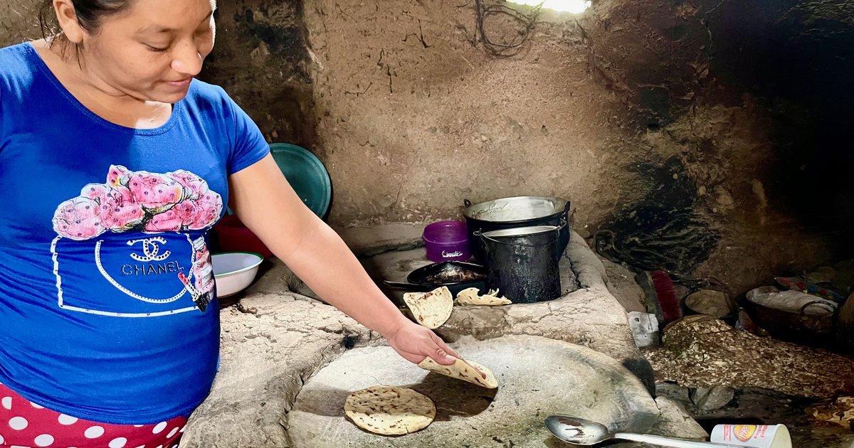 Maíz biofortificado alivia el hambre y problemas de salud en Guatemala