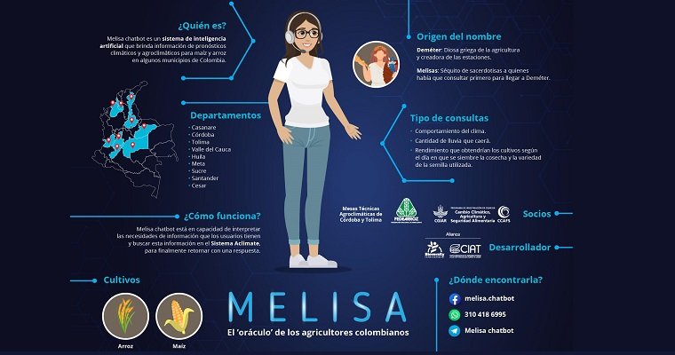 Melisa infografia-01 (1)