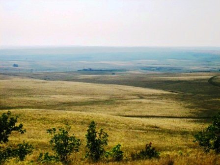Orenburg steppe