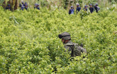 Counter-narcotics officer, Colombia. Fernando Vergara/AP/Press Association Images. All rights reserved.