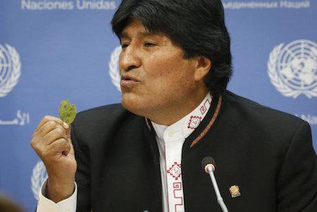 Bolivia president Evo Morales holds up a coca leaf at UNGASS press conference. B. Matthews/AP/PA Images. All rights reserved.