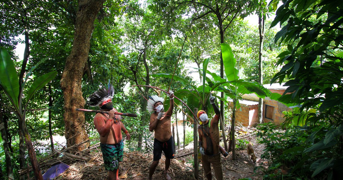 Contra Covid-19, indígenas e seringueiros do Acre recriam Aliança dos Povos  da Floresta - Campanha Permanente Contra os Contra os Agrotóxicos e Pela  Vida