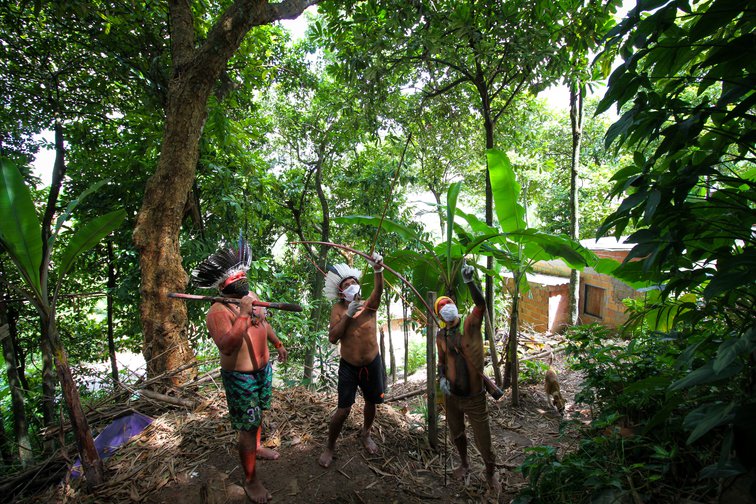 amazon rainforest tribes hunting