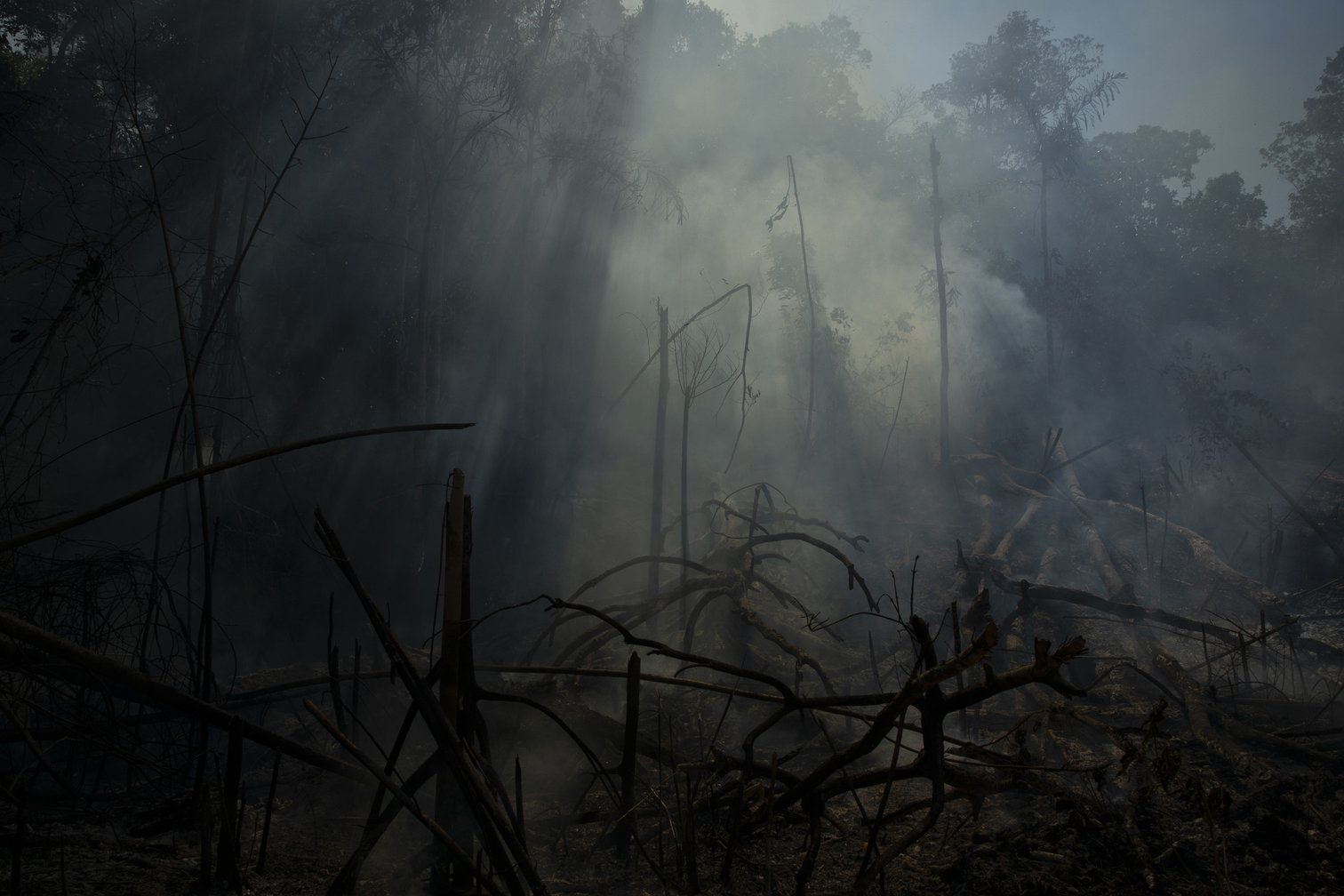 Nothing Has Changed And The Amazon Burns Again | OpenDemocracy