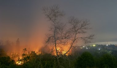 Palm oil fire.jpg