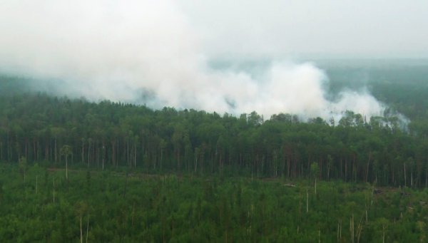 RIAN_5965382.LR.ru.jpg