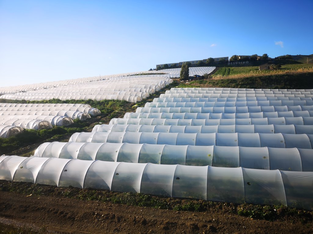Polytunnels of greenhouses, Ragusa, Sicily.